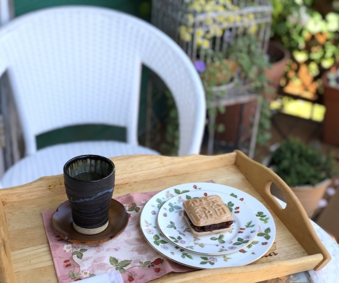 今年のカミキリ虫対策♫と、わらしべ長者（笑）_a0396654_15185483.jpeg