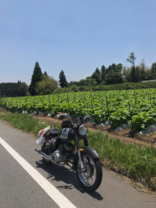 私的ブログ…泣けるツーリング(^^)笑笑…編。_d0132688_20372529.jpg