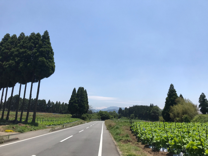 私的ブログ…泣けるツーリング(^^)笑笑…編。_d0132688_20372711.jpg