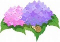 もうすぐ梅雨入りです_f0242002_20482031.jpg