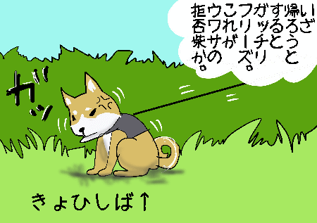 拒否柴 きょひしば を見た 続 びーち はうす 拒否柴 きょひしば を見た 続 びーち はうす