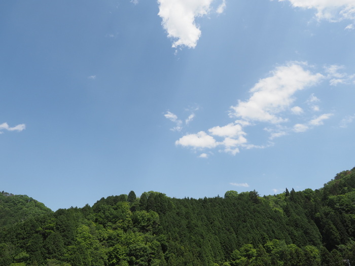 いいお天気_c0116915_00002993.jpg