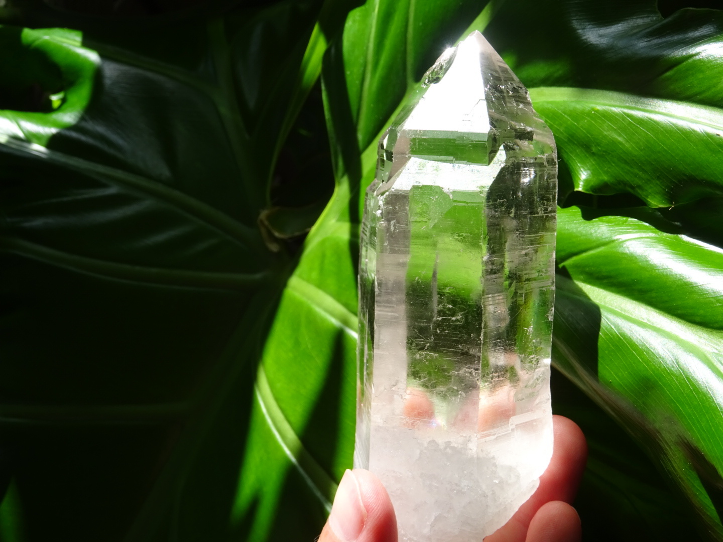 タンジェリンレムリアン【笑いのおなか】