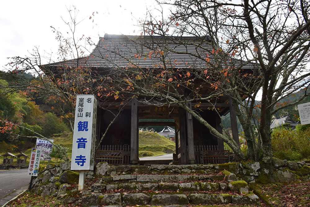 丹波と丹後の国境を守る鬼ヶ城攻城記。 その1 <観音寺~登山道>_e0158128_14015538.jpg