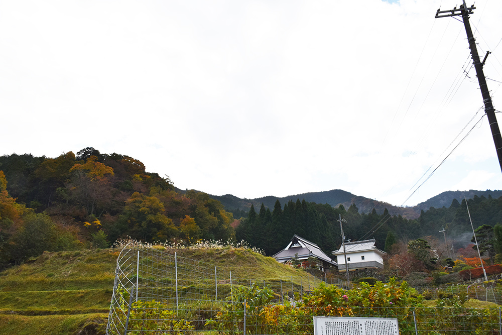 丹波と丹後の国境を守る鬼ヶ城攻城記。 その1 <観音寺~登山道>_e0158128_14053128.jpg