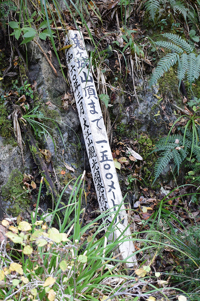 丹波と丹後の国境を守る鬼ヶ城攻城記。 その1 <観音寺~登山道>_e0158128_14262226.jpg