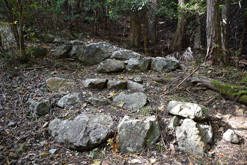 丹波と丹後の国境を守る鬼ヶ城攻城記。 その1 <観音寺~登山道>_e0158128_14344463.jpg