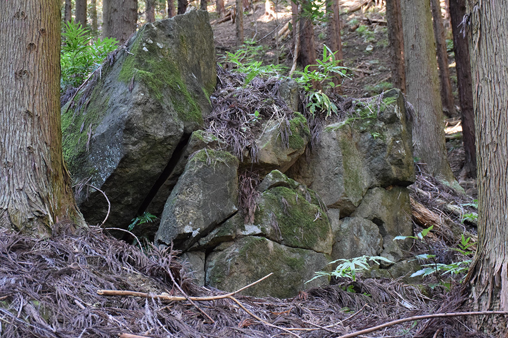 丹波と丹後の国境を守る鬼ヶ城攻城記。 その1 <観音寺~登山道>_e0158128_14344871.jpg