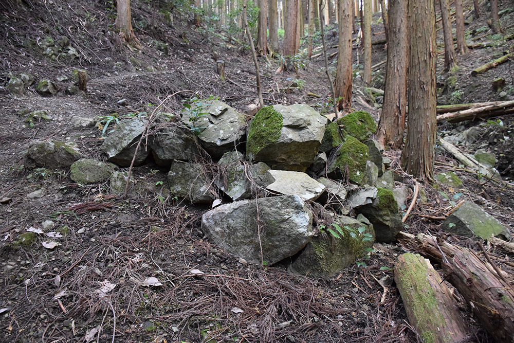 丹波と丹後の国境を守る鬼ヶ城攻城記。 その1 <観音寺~登山道>_e0158128_14345169.jpg