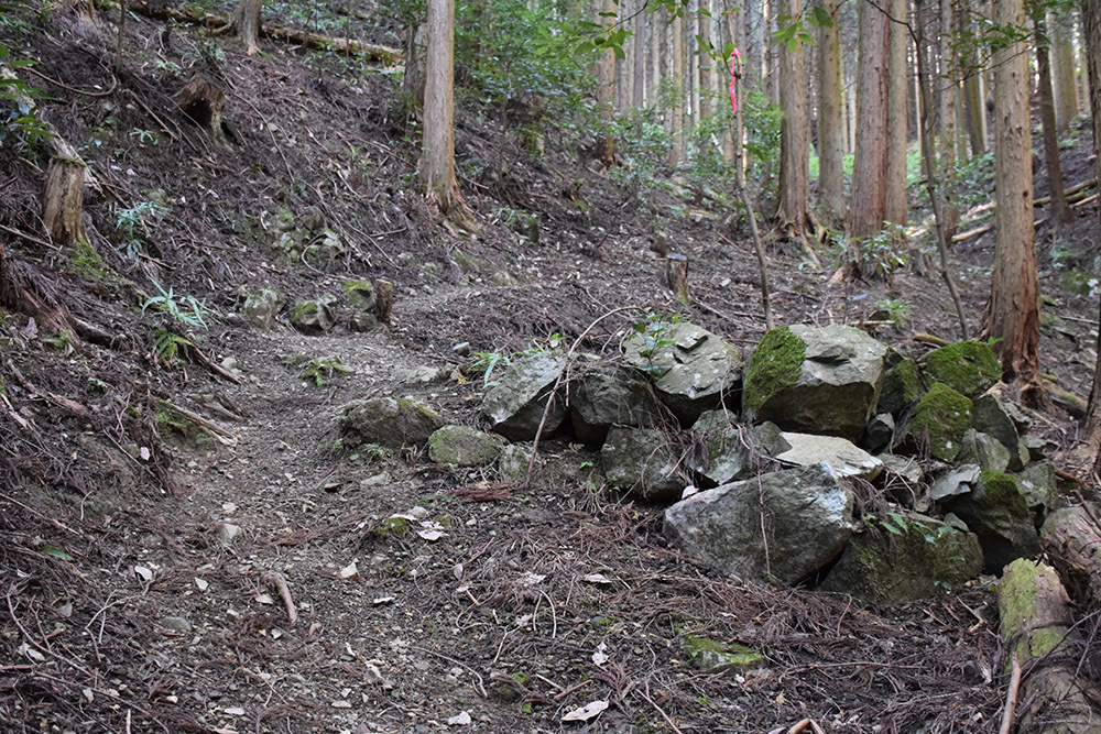 丹波と丹後の国境を守る鬼ヶ城攻城記。 その1 <観音寺~登山道>_e0158128_14345575.jpg