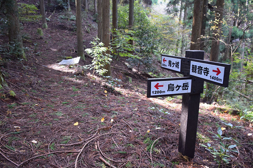 丹波と丹後の国境を守る鬼ヶ城攻城記。 その1 <観音寺~登山道>_e0158128_14372023.jpg