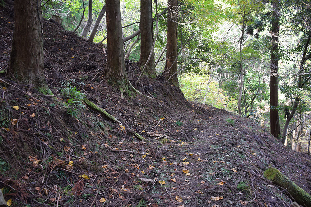 丹波と丹後の国境を守る鬼ヶ城攻城記。 その1 <観音寺~登山道>_e0158128_14382698.jpg