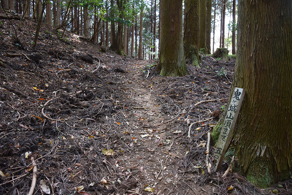 丹波と丹後の国境を守る鬼ヶ城攻城記。 その1 <観音寺~登山道>_e0158128_14402351.jpg