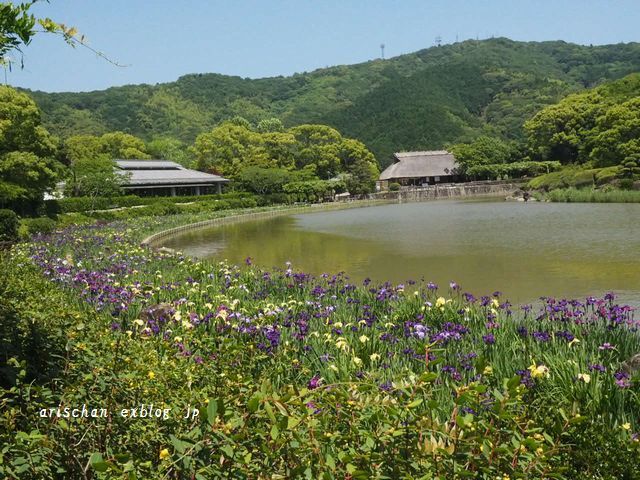 南楽園 愛媛県宇和島市 アリスのトリップ2 南楽園 愛媛県宇和島市 アリスのトリップ2