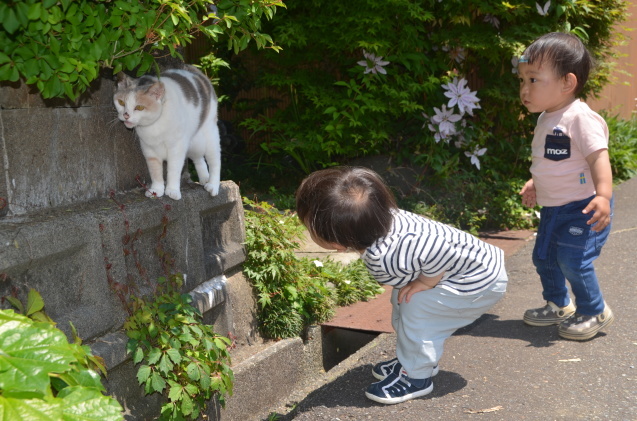 残りわずかに_c0202242_13534793.jpg