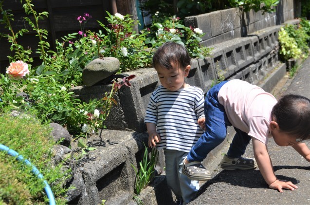 残りわずかに_c0202242_13541937.jpg