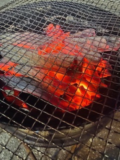 魚沼名物もつ焼き_a0050749_10114483.jpeg