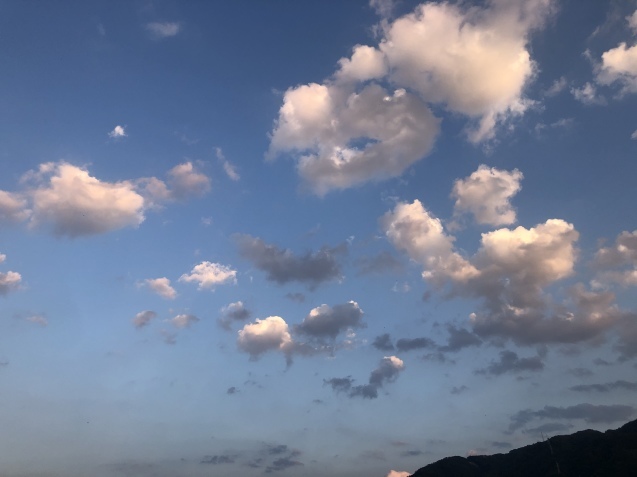 夕方お散歩。_a0394574_21255582.jpeg