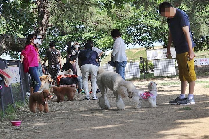 2か月半ぶりの公園!_b0111376_14401387.jpg