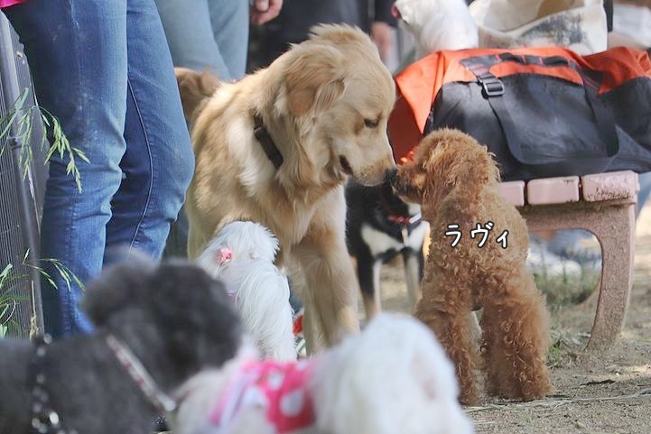2か月半ぶりの公園!_b0111376_14425439.jpg