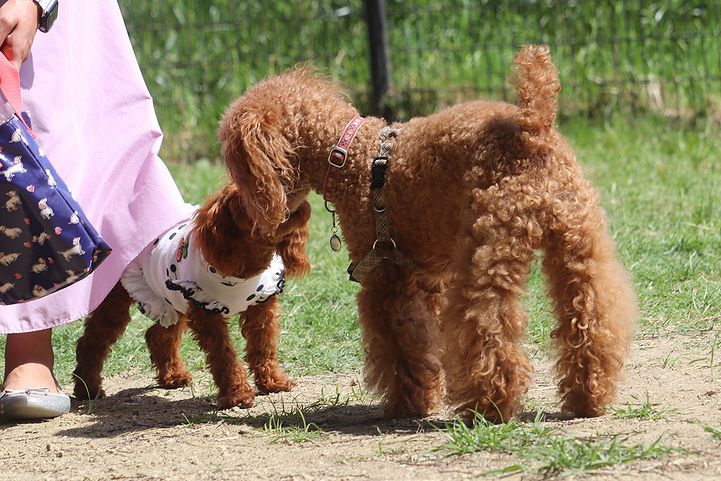 2か月半ぶりの公園!_b0111376_14443794.jpg