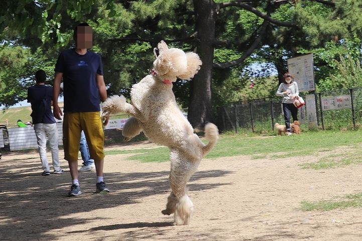 2か月半ぶりの公園!_b0111376_14490649.jpg