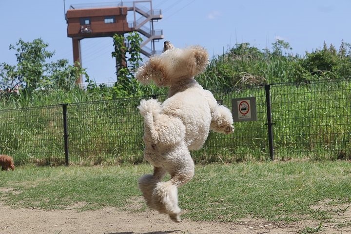 2か月半ぶりの公園!_b0111376_14510659.jpg