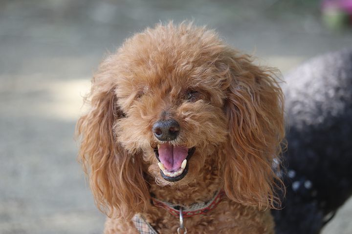 2か月半ぶりの公園!_b0111376_14584348.jpg