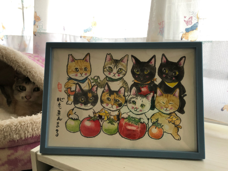 家宝が増えました(*´▽`*)_e0355177_15033269.jpg