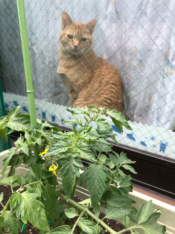 家宝が増えました(*´▽`*)_e0355177_15033577.jpg