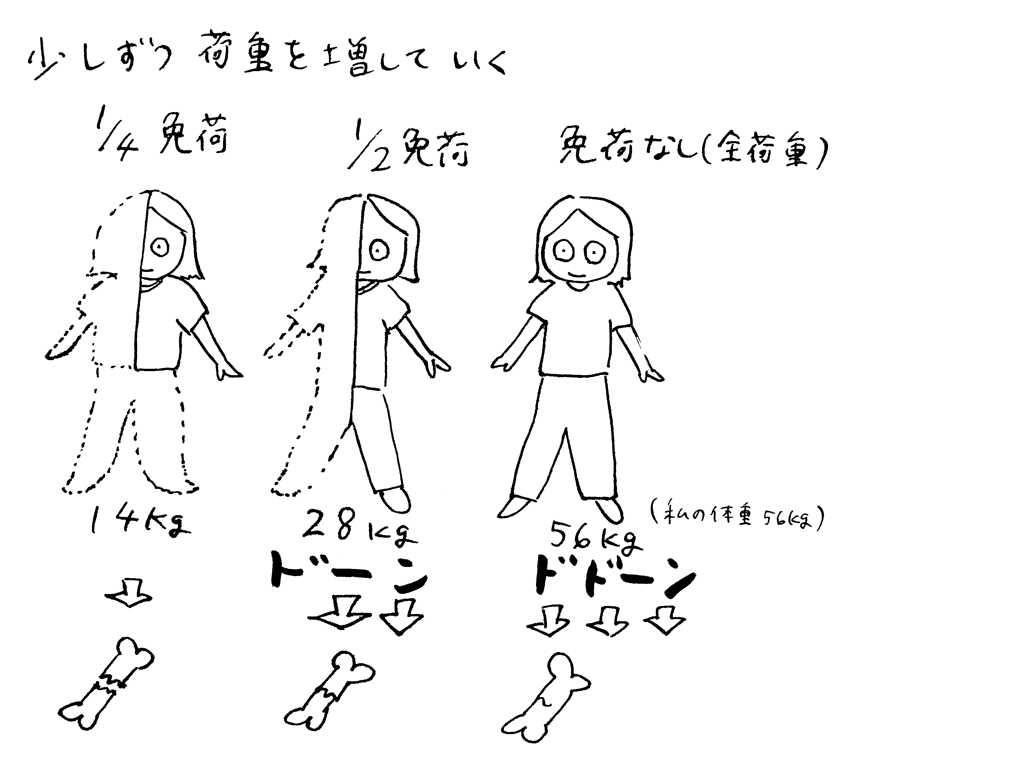 骨折後1ヶ月と16日目 まりんの世界手帖 骨折後1ヶ月と16日目 まりんの世界手帖