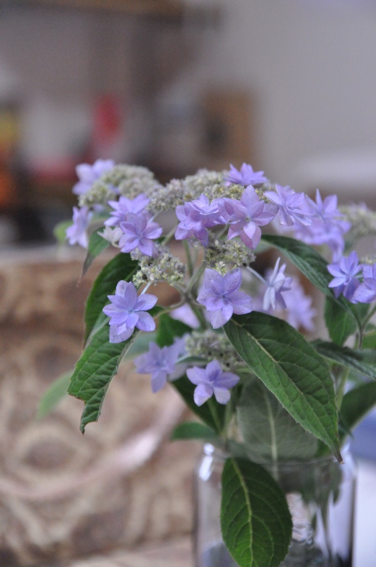 アスパラガス 四季日和 何食べる