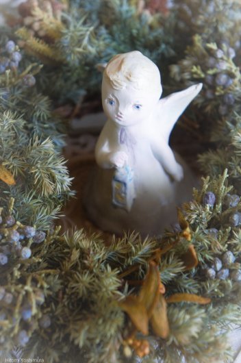 森へつれてって 🌿 6月20〜28_c0203401_14513177.jpeg