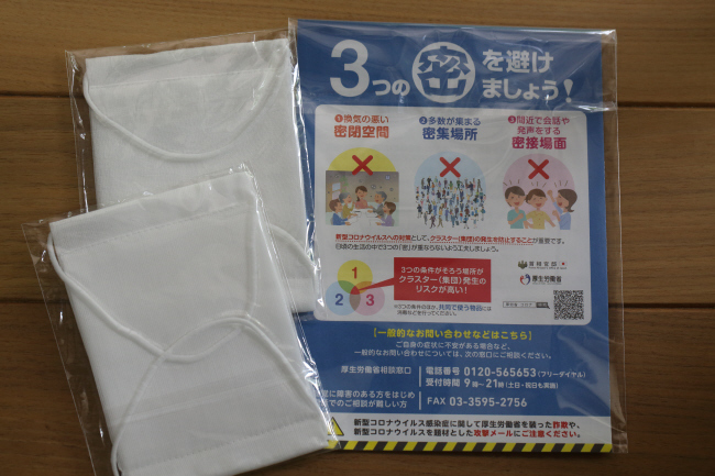 銅葉ミニダリアとアベノマスクなど _a0357206_20301545.jpg