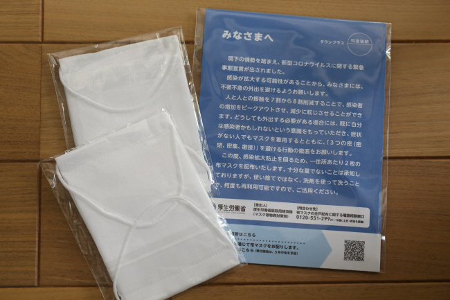 銅葉ミニダリアとアベノマスクなど _a0357206_20301988.jpg