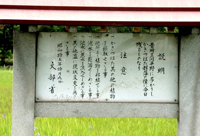 唐衣 着つつなれにし 写録番外編