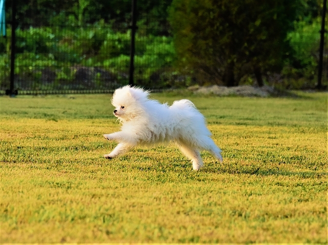 たったの24時間で_d0360206_22591786.jpg