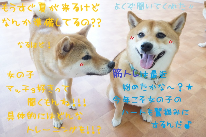 準備は出来ていますか??(*´з`)_d0220513_18544422.jpg