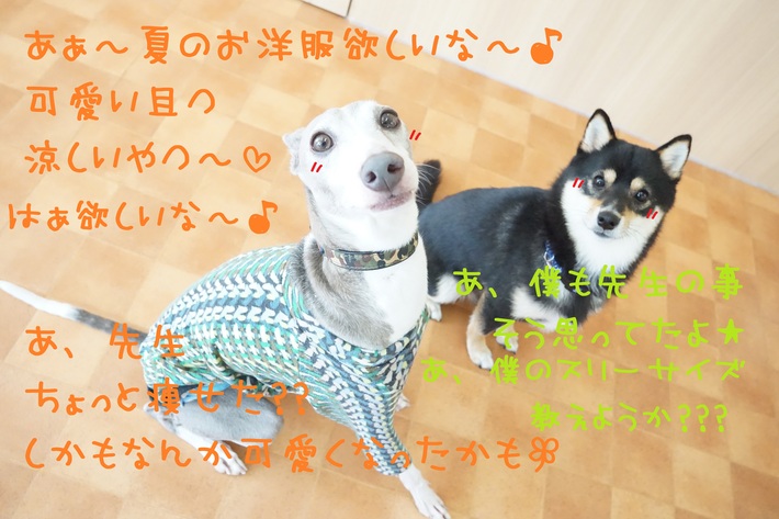 準備は出来ていますか??(*´з`)_d0220513_1855875.jpg