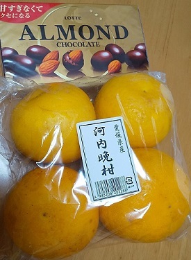 河内晩柑もう終わり?_c0280322_23083748.jpg