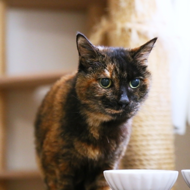 うまくいかない。_d0355333_08045777.jpg