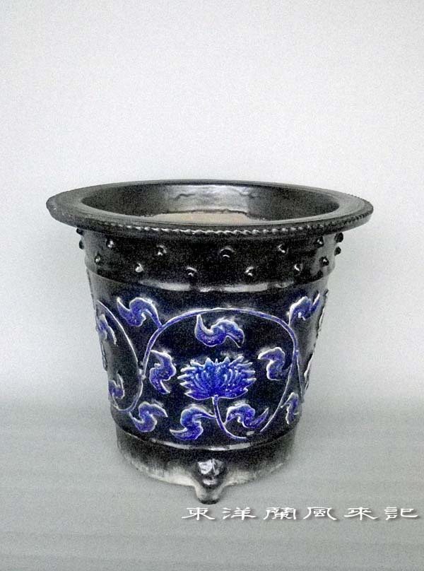 楽忠窯楽鉢 No.636 : 風来記 東洋蘭風来記 春蘭 中国春蘭 植木鉢 中国