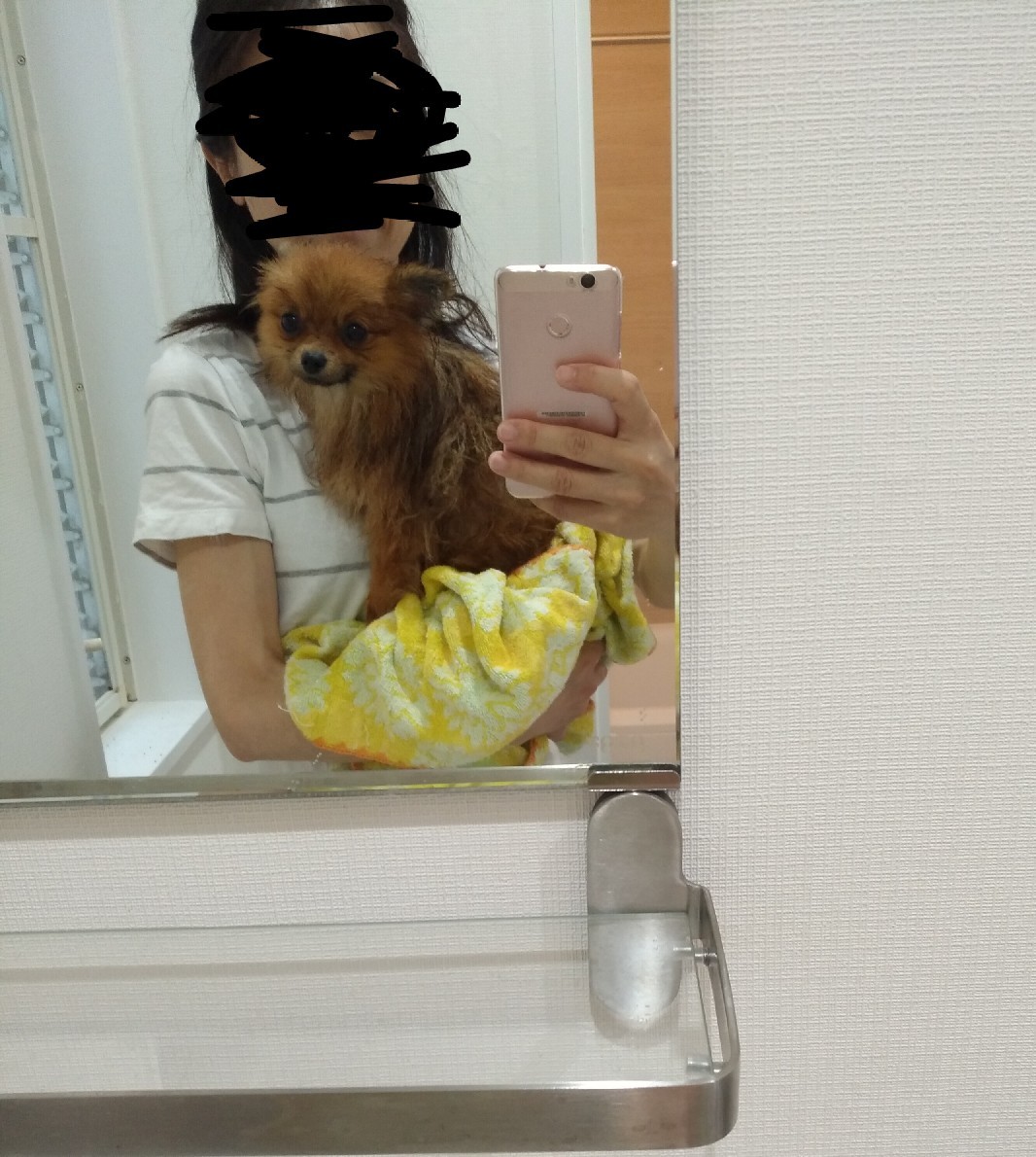 むぎ、シャンプーしました_e0109163_09400034.jpg