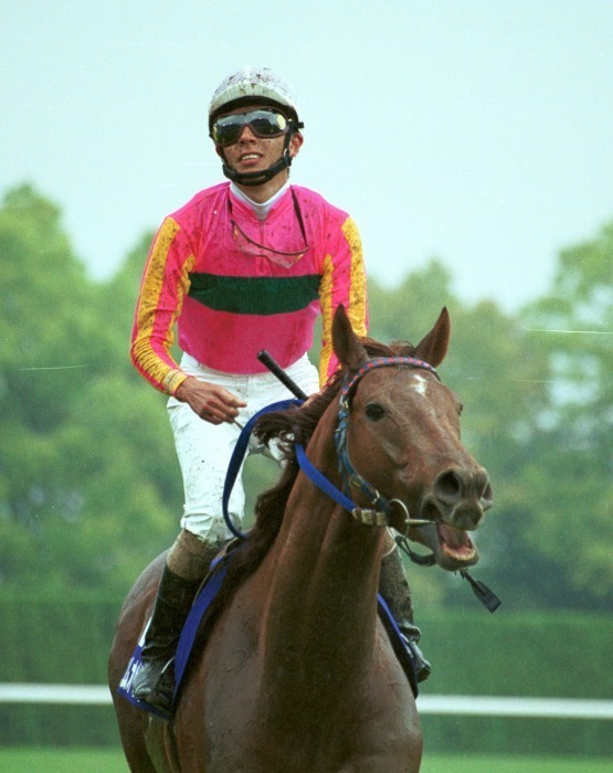 Amazon.co.jp: スポニチ 競馬欄 2001年 一年分 年度代表馬