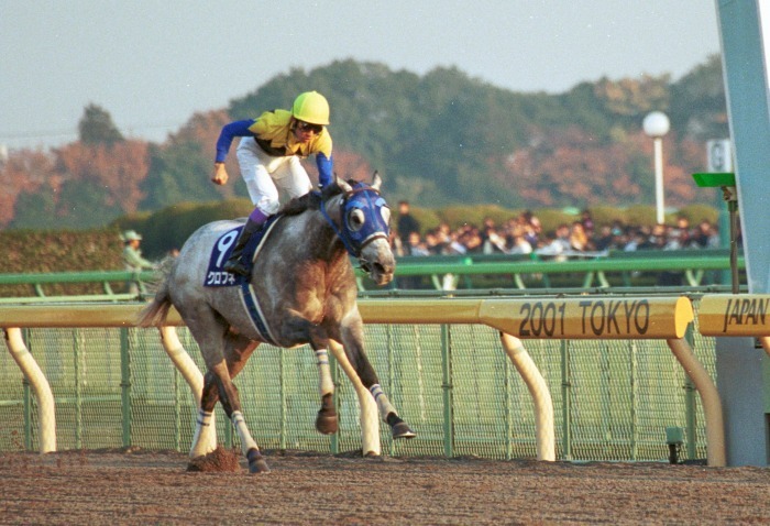 競馬コレクションーレーシングプログラムⅢ（2001,2002