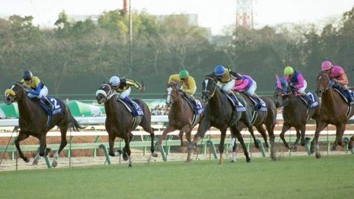競馬コレクションーレーシングプログラムⅢ（2001,2002