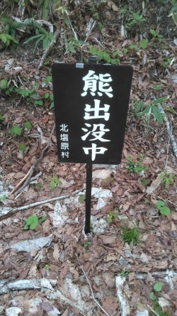 「ネマガリダケ」採って来ました。_c0160368_19503523.jpg