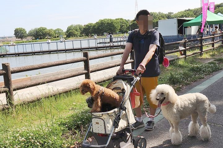 季節の移り変わりを実感した散歩。_b0111376_14490966.jpg