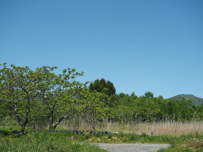 地盤調査_d0077992_13565916.jpg