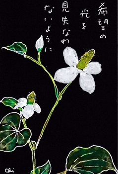 今日も孫たちとお絵かき_a0030594_21594995.jpg